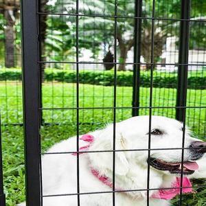 <span class=keywords><strong>Kit</strong></span> de clôture/maison pour chien en fil soudé enduit de PVC noir de 4 "x 4" chenil pour chien - Product Image 6