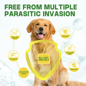 Suplemento Nutricional <span class=keywords><strong>para</strong></span> Mascotas ODM/OEM, Polvo <span class=keywords><strong>Desparasitante</strong></span> <span class=keywords><strong>para</strong></span> <span class=keywords><strong>Perros</strong></span> y Gatos <span class=keywords><strong>para</strong></span> el Cuidado de la Salud, Envasado en Botellas, Suplementos Herbales - Product Image 4