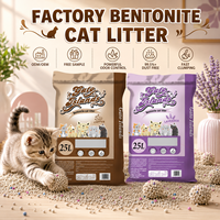 Litière pour chat en bentonite de 20 kg, agglomération rapide, faible teneur en poussière, emballage OEM, directement de l'usine