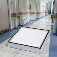 Nuevo Filtro de panel Hepa/ulpa miniplisado, filtro de aire para habitación de grado hospitalario