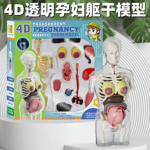 Modèle d'anatomie pour femmes enceintes, ensemble de jouets, organes humains, squelettes, papier, matériel, étudiants, éducation scientifique précoce, jouets à assembler soi-même - Product Image 6