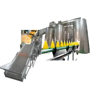 Complete Equipment Juice Bottling Machine Mango Juice Making Machine Processing Line
