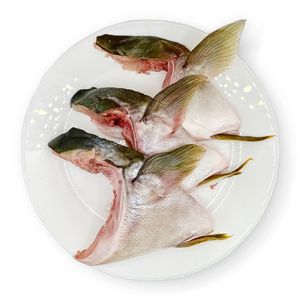 Collar de atún de aleta amarilla congelado Kama, corte deshuesado, captura salvaje, carne grasa tierna, mariscos procesados, exportador, mayorista, proveedor a granel - Product Image 3