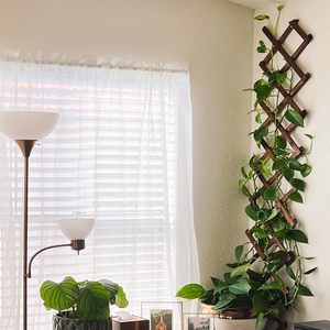 Lot de 2 <span class=keywords><strong>treillis</strong></span> de jardin extensibles en <span class=keywords><strong>bois</strong></span> <span class=keywords><strong>pour</strong></span> plantes grimpantes, écologiques, faciles à assembler, <span class=keywords><strong>pour</strong></span> mur, clôture de jardin et patio extérieur - Product Image 3
