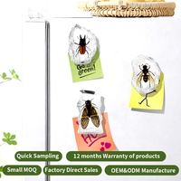 Aimant en résine transparente avec insecte préservé, spécimen naturel en résine, aimant de réfrigérateur pour les passionnés de sciences, décoration pour la maison et le bureau