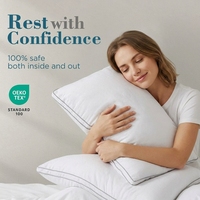 Oreiller en polyester lavable, doux, de soutien, anti-allergie, pour hôtels, chambres d'hôtes et literie d'hôtellerie en gros