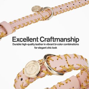 Collier de chien en cuir de haute qualité conçu pour les chiens de petite à moyenne taille - Product Image 3