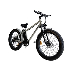 Bicicleta Eléctrica Económica de 26 Pulgadas y 250w con Certificación CE, Neumáticos Anchos para Playa y Nieve, Cuadro de Acero, Modelo BN-FM01A/BN-FM01S - Product Image 4