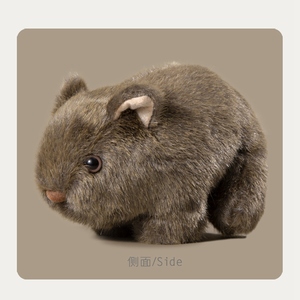 Peluche de cobaye ultra-réaliste, adorable peluche de cobaye, cadeau amusant pour les enfants, animal en peluche compagnon - Product Image 4