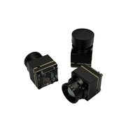 Module de caméra thermique 384x288 pour l'intégration UAV et robotique, module infrarouge LWIR avec SDK, prise en charge OEM/ODM