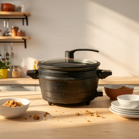 Cuisinière à pression électrique 11L 1800W, marmite à micro-pression antiadhésive avec cuiseur vapeur, multifonctionnelle, 5 températures, pour la cuisine à domicile