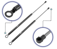 Penjualan Laris Tabung Gas 60N-150N Spring Gas Spring Kustom
