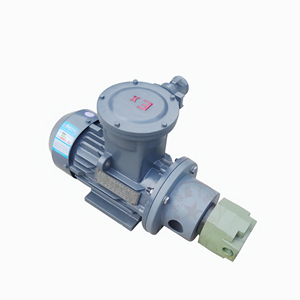 Unidad de Motor de Bomba de Engranajes a Prueba de Explosiones, Serie BB Horizontal de Hierro Fundido YBX3 para Lubricación de Máquinas Herramienta - Product Image 1
