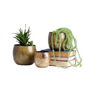 Ensemble de trois pots de fleurs en aluminium couleur or, différentes tailles, qualité exclusive - Product Image 1