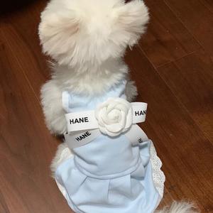 Venta al por mayor <span class=keywords><strong>de</strong></span> vestido <span class=keywords><strong>de</strong></span> lujo para mascotas Elegante ropa para <span class=keywords><strong>perros</strong></span> pequeños Otoño Invierno cálido perro gato ropa <span class=keywords><strong>de</strong></span> diseñador - Product Image 5