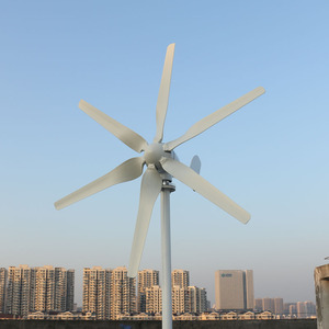 Aerogenerador <span class=keywords><strong>de</strong></span> Energía Alternativa <span class=keywords><strong>de</strong></span> 800w 12V 24V 48v, Generador <span class=keywords><strong>de</strong></span> Turbina Eólica Horizontal para Uso Doméstico - Product Image 4