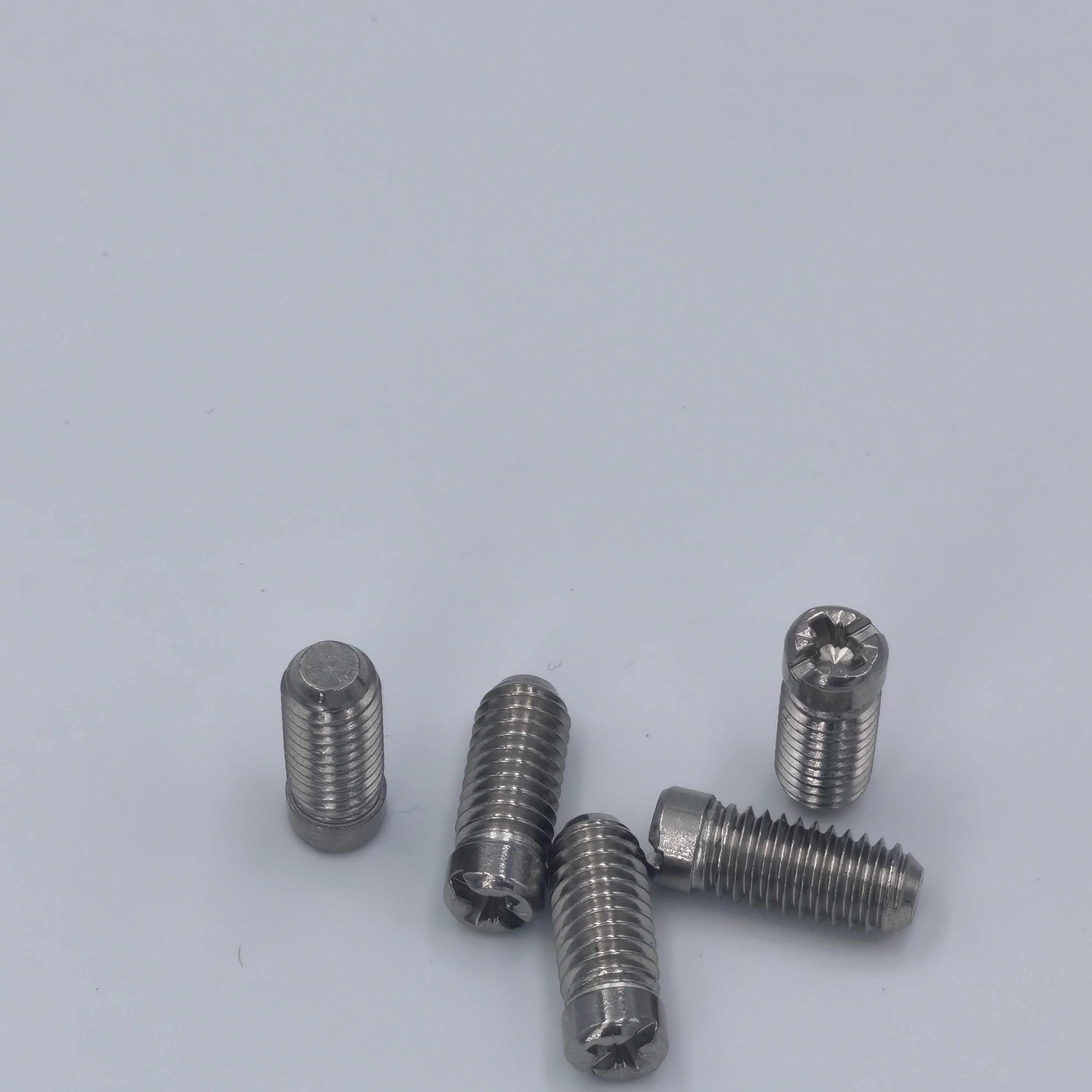 OEM Customized M3 M4 M5 M6 Plastic Dog Point Hex Socket Grub Screws