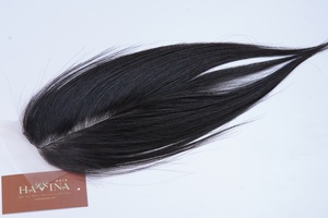 ผมต่อแบบตรงผมมนุษย์สีดำธรรมชาติเกรด12A สำหรับผมต่อ - Product Image 4