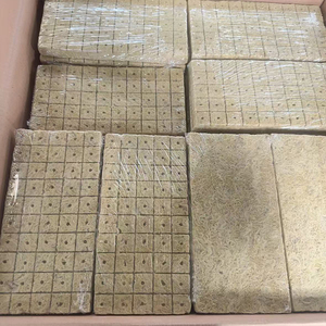 Vassoio per Semina e Trapianto Shengding per Coltura Idroponica, Sementi <span class=keywords><strong>di</strong></span> <span class=keywords><strong>Pomodoro</strong></span>, Vassoio per Piantine 25*25*25mm - Product Image 1