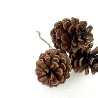 Großhandel DIY Home Decoration Naturholz Tannenzapfen hängen Baum Gold Silber getrocknete Blumen Pflanzen Schöne Abschluss feier