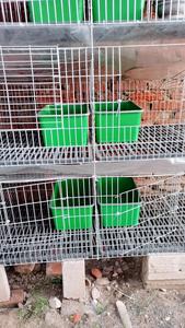 กล่องเพาะพันธุ์กระต่ายพร้อมขอบกันกัดแทะ กล่องทำรังในตัวทำจากพลาสติกสำหรับกรง<span class=keywords><strong>กระต่าย</strong></span> กล่องอุ่นสำหรับกระต่ายตั้งท้อง - Product Image 4