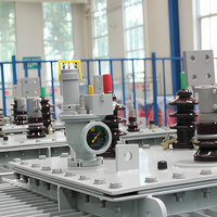 Transformateur triphasé immergé dans l'huile polyvalent 1000 10/0.4kv pour les acheteurs mondiaux