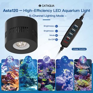 Filtre biologique à tambour micro-écrêté submersible à haut débit, résistant aux UV et économe en énergie pour bassin à koïs - Product Image 6