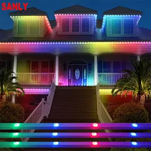 Gouly Christmas Decoration Lights Custom Led String Led Decoration Landscaping Lights Led Pixel Light Outdoor