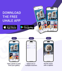 Marco de Fotos Digital Wifi de 10.1 Pulgadas con Pantalla Táctil, para Compartir Fotos, de la Marca Factory Uhale - Product Image 4