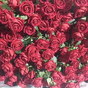 Wholesale Cheap Faux <strong>Floral</strong> Red Velvet Rose Artificial Silk Flower for Wedding Christmas Halloween Graduation Mother's Day Decor - Product Image 1