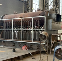 Chaudière à vapeur industrielle à combustible solide à haute efficacité à alimentation manuelle à tambour horizontal DZH