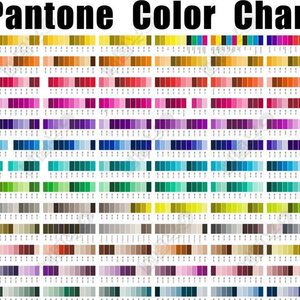 Calzini Sportivi Personalizzati da Uomo con Logo per Calcio, Basket, Calzini Antiscivolo Lavorati a Maglia con Confezione di Fabbrica per l'Autunno - Product Image 4