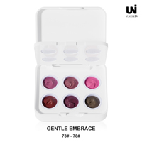 Cat kuku gel UV ombre 6 warna berkualitas tinggi, ramah lingkungan, vegan, tahan lama, 2 in 1, untuk salon dan DIY, OEM ODM