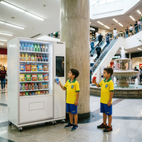 Distributeur automatique de snacks avec fonction SDK, corps métallique, écran tactile, options de paiement multiples pour utilisation en centre commercial