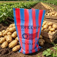 Hete Aanbieding Afrika Burkina Faso 100KG 120KG Graan Koffiebonen Maïs Rijst Rood Blauw pp Zak Polypropyleen Zakken China Fabriek