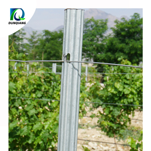 Sistema de Enrejado <span class=keywords><strong>Abierto</strong></span> Tipo Y para Viñedos, Especial para el Mercado Chileno, Nuevo Tipo de Enrejado para Uvas - Product Image 5