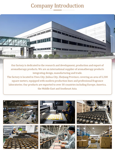 1파운드 천연 밀랍 과립형 흰색 밀랍 와스프 왁스 DIY 아로마테라피 캔들 - Product Image 6