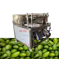Eetbare Dadels Palmen Longan Snoeien Arbutus Fruit Pitter Dadelzaad Verwijdermachine