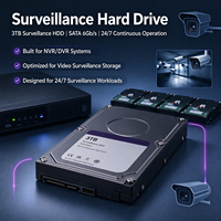 Disque dur WD30PURZ pour stockage vidéo CCTV, enregistrement, caméra de sécurité, NVR, DVR, surveillance à domicile et au bureau, sauvegarde de données, systèmes CCTV