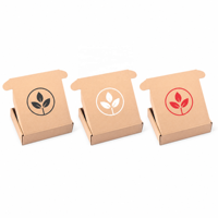 Boîte d'expédition en carton kraft à plat, boîte à courrier ondulée, logo personnalisé, écologique, pour l'expédition en ligne, emballage cadeau