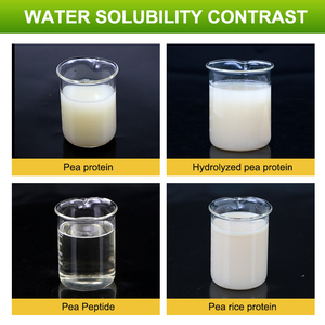 AMULYN 100% 有機植物ベースのエンドウ豆タンパク質分離性ビーガンニュートリションエンハンサー粉末100% 栄養補助食品 - Product Image 3