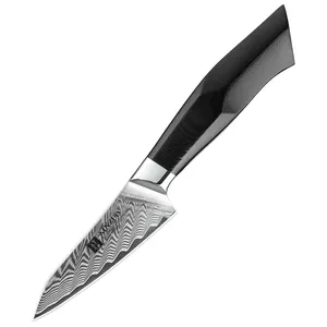 Kitchen Fruit Paring Knife Damascus Steel 3.5 Inch Daily Kitchen knives High Carbon Steel G10 Wood Handle