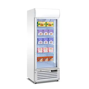 Single door automatic defrosting glass display commercial stand up freezer