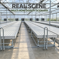 Banc de semis hydroponique à poussée manuelle, galvanisé à chaud, haute qualité, pour économie d'eau, système d'irrigation par flux et reflux, pour pépinière et serre