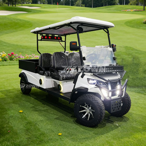 Voiturette de golf électrique 2 places avec éclairage LED et espace de chargement pour le transport et l'entretien des terrains de golf - Product Image 3