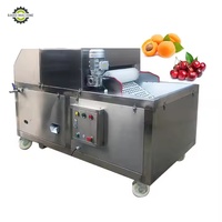 Hoge kwaliteit fruit, eenvoudige bediening, pruimenontpitter, pitverwijderaar voor palm, avocado en bayberry.