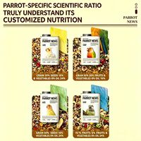 Campuran Biji-bijian Pelet Bernutrisi Lengkap Quanying Pet untuk Cockatiel, Burung Beo Kecil, Makanan Dasar Alami Sehari-hari, Buah-buahan, Kapasitas Besar
