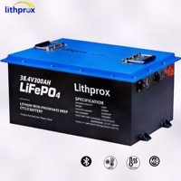 Batteria Avanzata LFP 38.4V 300AH per Movimentazione Materiali con BMS Intelligente, per Carrelli Elevatori, Certificata CE MSDS IP67 RoHS, OEM ODM