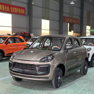 Vehículo Eléctrico Chino 2025, Mini Auto Eléctrico de 3500W con 4 Ruedas, Varios Colores para Adultos, Oferta Económica, Hecho en China - Product Image 2