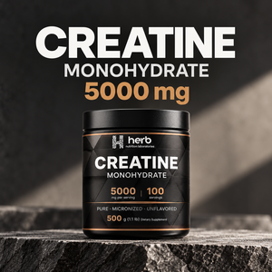 Creatina Monohidrato Micronizada en Polvo 5000mg 500g, Suplemento Deportivo, Apoyo a la Fuerza, Fórmula Personalizada, Fabricante OEM ODM - Product Image 4
